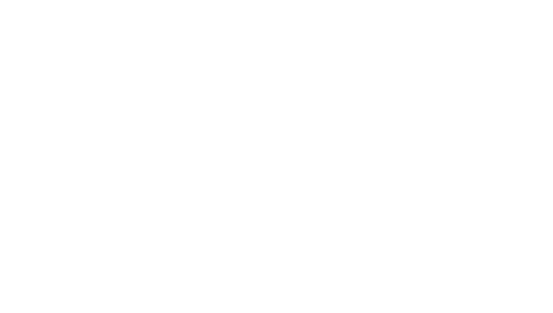 Instituto ARA
